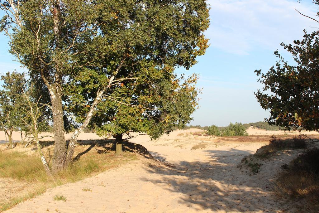 Natuurpoort Van Loon Loon op Zand Exterior foto